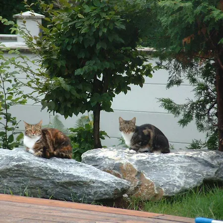 Haus Luca Seeblick Guest house 4*