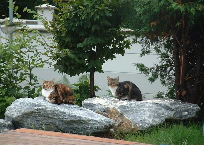 Haus Luca Seeblick Gasthuis 4*